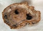 Kom - Bowl - versteend hout