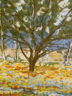 Michele Cascella (1892-1989) - Podere a Ortona, Antiek en Kunst