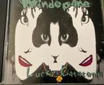 cd - Windopane - Lucky Catatonia, Verzenden, Zo goed als nieuw