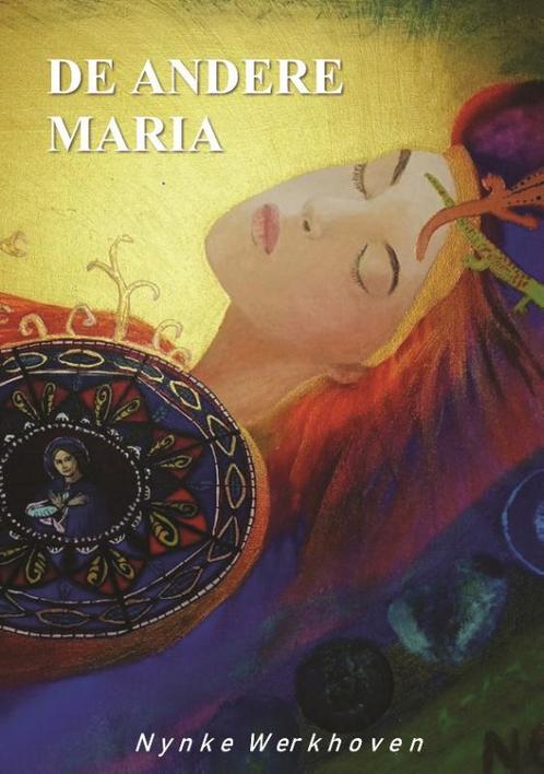 De andere Maria 9789081804974 Nynke Werkhoven, Boeken, Literatuur, Gelezen, Verzenden