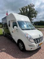 Knappe en luxe Renault MTM  paardenwagen! 2013 - Automaat!, Ophalen, Zo goed als nieuw, 2-paards trailer
