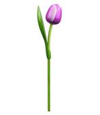 Houten tulp op steel 34 cm Purple white, Ophalen of Verzenden, Nieuw