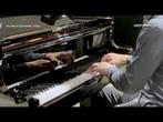 Wilhelm Schimmel W 206T WP messing vleugel