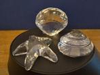 Beeld, Swarovski schelpen zeester sintjacobschelp en