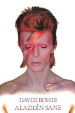 Poster David Bowie Aladdin Sane 61x91,5cm, Verzamelen, Nieuw, A1 t/m A3, Verzenden