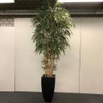 Kunstplant in zwarte plantenbak, hoogte 280 cm