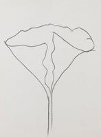Ellsworth Kelly (1923 - 2015) - Lotus