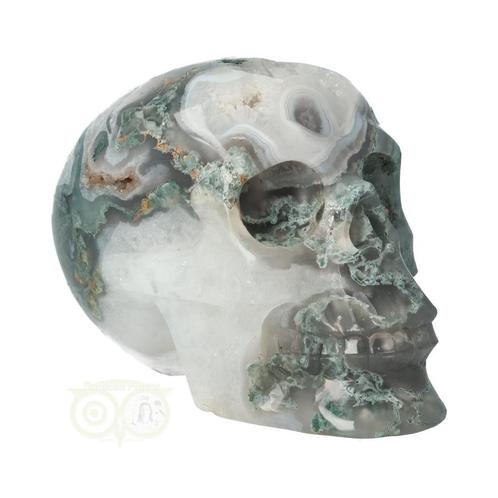 Mosagaat schedel Nr 267 - 1050 gram, Sieraden, Tassen en Uiterlijk, Edelstenen, Nieuw, Verzenden