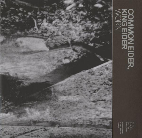 LP gebruikt - Common Eider, King Eider - Worn, Cd's en Dvd's, Vinyl | Rock, Zo goed als nieuw, Verzenden