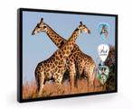 Giraffe plectrumdisplay, Verzamelen, Dierenverzamelingen, Ophalen of Verzenden, Nieuw, Wild dier, Overige typen
