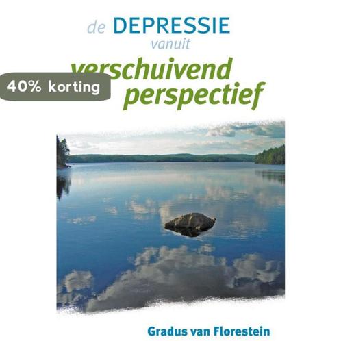 De Depressie Vanuit Verschuivend Perspectief 9789077247983, Boeken, Psychologie, Zo goed als nieuw, Verzenden