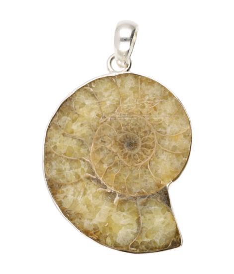 Zilveren Ammoniet groot kettinghanger, Sieraden, Tassen en Uiterlijk, Kettinghangers, Verzenden