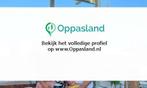 Tom zoekt een oppas in Boxtel voor 2 kinderen op vrijdag,...