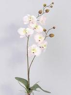 Orchidee phalaenopsis zachtroze zijden plant blad en wortel, Huis en Inrichting, Woonaccessoires | Kunstplanten en Kunstbloemen