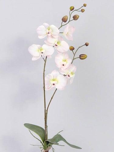 Orchidee phalaenopsis zachtroze zijden plant blad en wortel, Huis en Inrichting, Woonaccessoires | Kunstplanten en Kunstbloemen