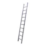 ALX XD professionele enkele ladder, Doe-het-zelf en Verbouw, Verzenden, Nieuw, Ladder