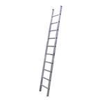 ALX XD professionele enkele ladder, Nieuw, Ladder, Verzenden