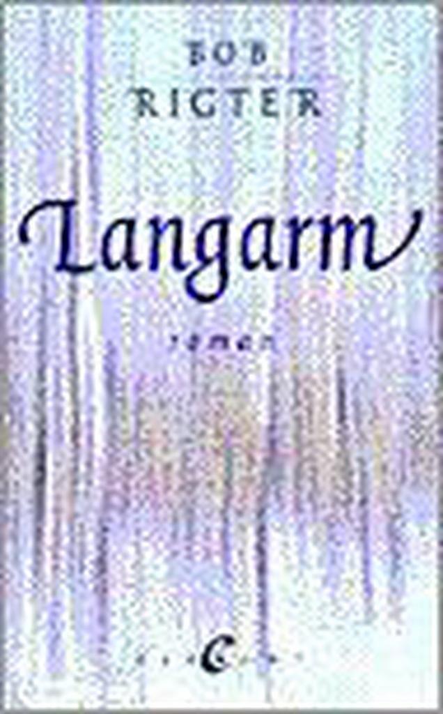 LANGARM 9789056890650 B. Rigter, Boeken, Romans, Gelezen, Verzenden