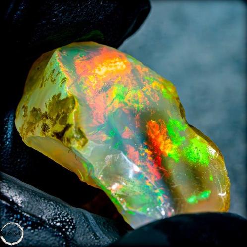 Zeer zeldzame natuurlijke AAA+++ Crystal Opal onbehandeld, Verzamelen, Mineralen en Fossielen