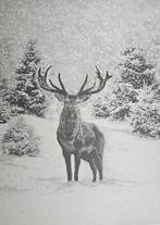ARAZZO in Alpaca Jacquard met hert onder de sneeuw -