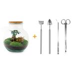 DIY terrarium - Teddy bonsai -  26,5 cm - Rake + Shovel + T, Verzenden