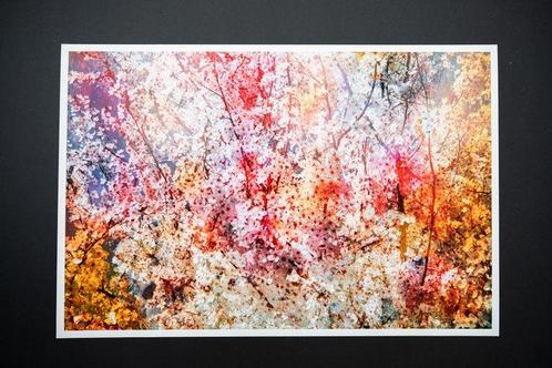 Viet Ha Tran - The joy of spring, Antiek en Kunst, Kunst | Schilderijen | Modern