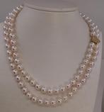 Halsketting - 14 karaat Geel goud - 8x8.5mm Akoya parels, Nieuw