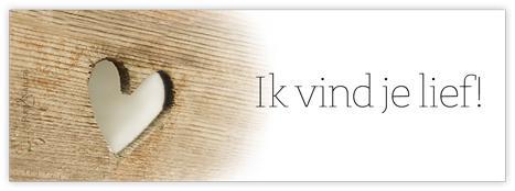 Bloemenkaartje Ik vind je lief! Bloemenkaartje, Huis en Inrichting, Woonaccessoires | Kunstplanten en Kunstbloemen, Nieuw, Ophalen of Verzenden