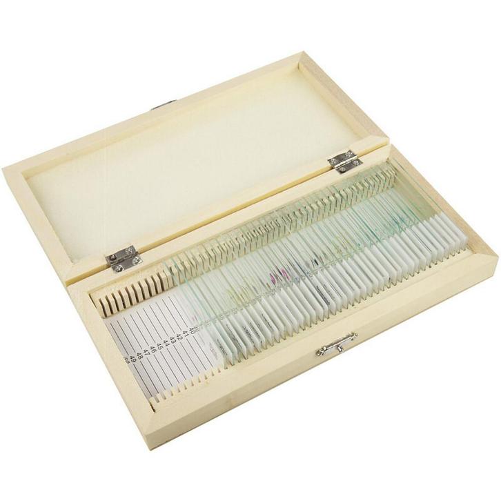 Omegon Permanente preparaten set 40 stuks in houten kist..., Audio, Tv en Foto, Optische apparatuur | Microscopen, Onderdelen of Toebehoren