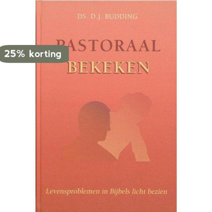 Pastoraal bekeken 9789033115400 D.J. Budding, Boeken, Godsdienst en Theologie, Zo goed als nieuw, Verzenden