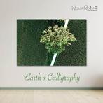 Werner Roelandt - Earths Calligraphy - 003, Antiek en Kunst