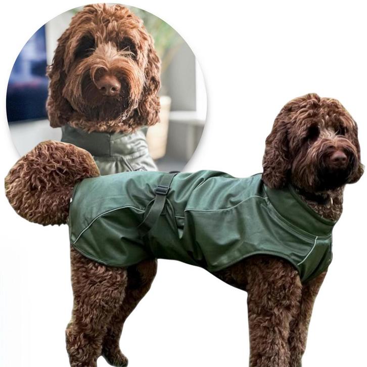 Honden Regenjas Raindog Groen (Hondenkleding), Dieren en Toebehoren, Hondenkleding, Hondenregenjas, Nieuw, Ophalen of Verzenden