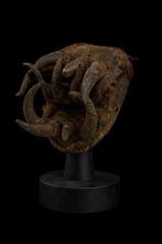 Spinnenmasker - masker aangeklaagd - voor de rechtbank