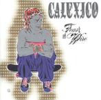 cd - Calexico - Feast Of Wire, Cd's en Dvd's, Zo goed als nieuw, Verzenden