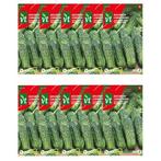 Augurk zaad | VT | 10 stuks, Tuin en Terras, Bloembollen en Zaden, Verzenden