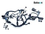 Kabelboom Kawasaki Z 800 2013-2016 (Z800 ZR800A-B) ABS, Motoren, Gebruikt