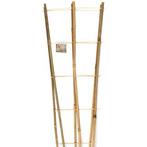 Klimrek planten | Nature | 90 x 26 centimeter, Tuin en Terras, Planten | Tuinplanten, Verzenden