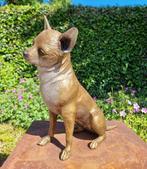 Beeldje - Chihuahua - hond - Brons