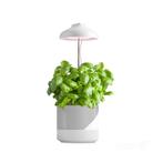 LED Kweeklamp Verdi 5W - 3200K - In hoogte verstelbaar -..., Huis en Inrichting, Ophalen of Verzenden, Nieuw