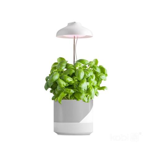 LED Kweeklamp Verdi 5W - 3200K - In hoogte verstelbaar -..., Huis en Inrichting, Lampen | Overige, Nieuw, Ophalen of Verzenden