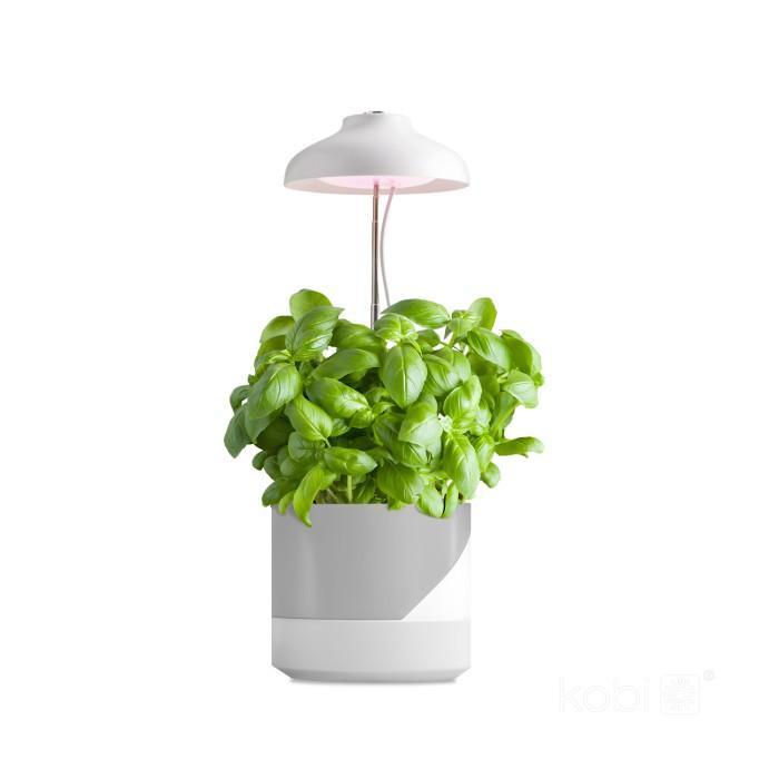 LED Kweeklamp Verdi 5W - 3200K - In hoogte verstelbaar -..., Huis en Inrichting, Lampen | Overige, Nieuw, Ophalen of Verzenden