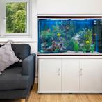 Aquarium 300 L Wit starterset inclusief meubel - wit grind -, Verzenden, Nieuw