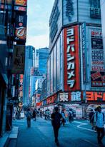 Dominik Valvo - Shinjuku Walk (Japan 2017) XL