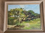 Jurgen George Pletser (1871-1942) - Schitterend