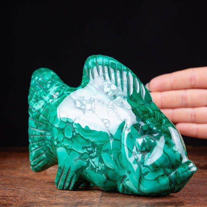 Vishengel in malachiet van de eerste keuze -, Verzamelen, Mineralen en Fossielen