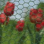 Betafence Hexanet Plastic 50cm 25m (25x1.00mm) groen BF 6073, Tuin en Terras, Gaas en Draad, Ophalen of Verzenden, Nieuw