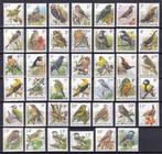 België 1985/2024 - groot kavel Buzin waaronder vogels, bijen, Postzegels en Munten, Postzegels | Europa | België, Gestempeld