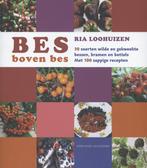 Bes boven bes 9789059564527 Ria Loohuizen, Verzenden, Zo goed als nieuw, Ria Loohuizen
