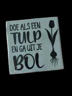 Tegeltjes met leuke, mooie,  lieve,  grappige teksten, Ophalen of Verzenden, Nieuw