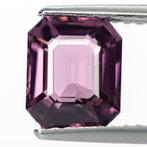 Zonder Minimumprijs Spinel  - 1.82 ct - Antwerp Laboratory, Nieuw